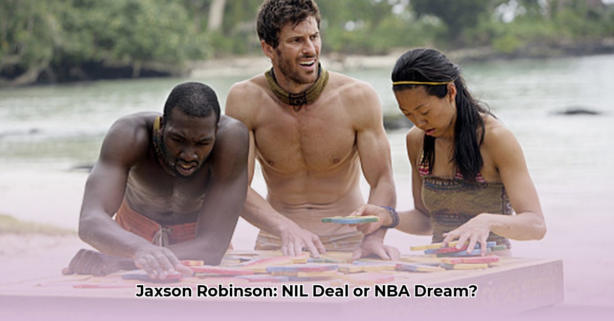 jaison-robinson-net-worth